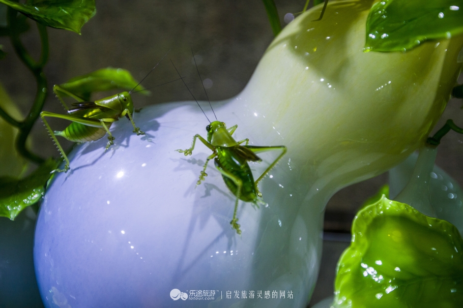 琉璃、课本、足球，博物馆也能玩嗨