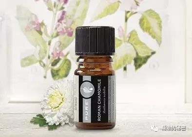 明星同款身体精油推荐,明星同款护发精油推荐