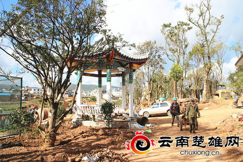 大姚县西河森林运动公园,大姚县西河森林运动公园篮球场