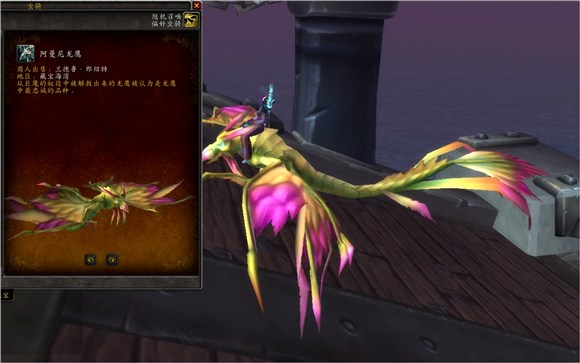 魔兽世界集换式卡牌坐骑,魔兽世界卡牌飞龙坐骑