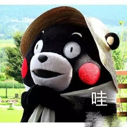 高中生“早恋”公开拥抱被开除？网友炸了！