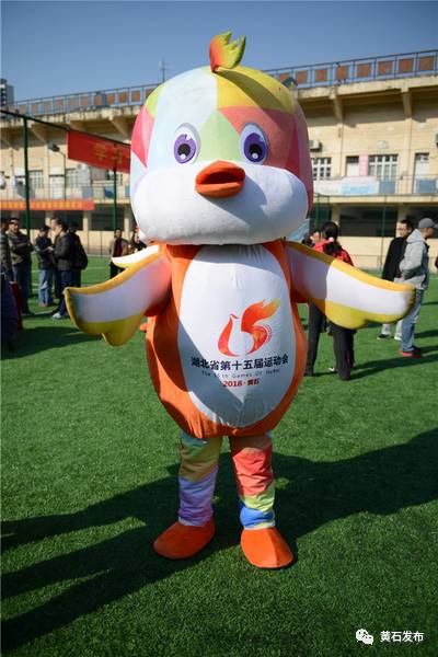 我市五人制足球邀请赛,政法系统五人制足球赛