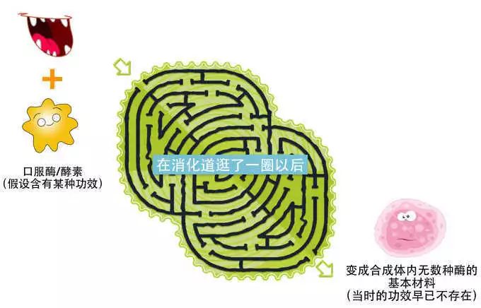 水果酵素蔬菜酵素,水果酵素蔬菜酵素中药酵素