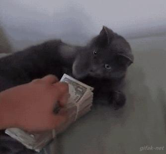 电子血糖仪哪个品牌的最准确,电子血糖仪不用扎针