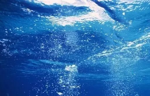 海洋护肤成分,护肤指南海洋成分