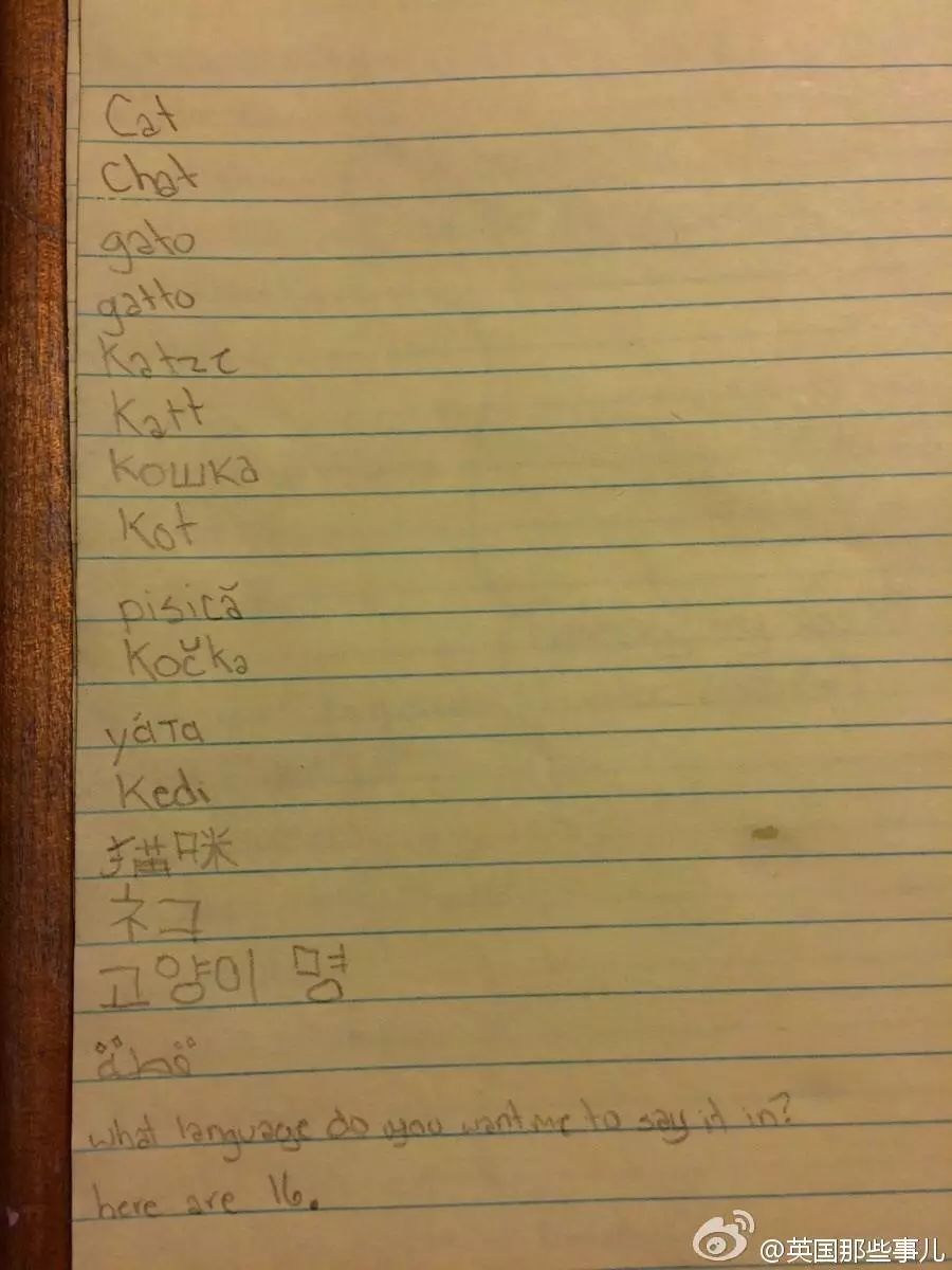 圣诞节心愿怎么写,圣诞节心愿清单素材