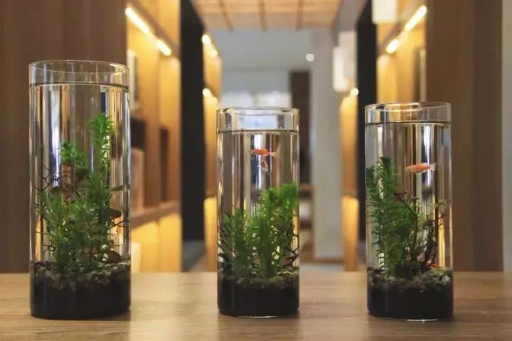 24小时、以旧换新……南京这8大特点书店，去了就不想离开