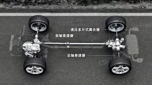 奥迪quattro壁虎,奥迪quattro壁虎标志