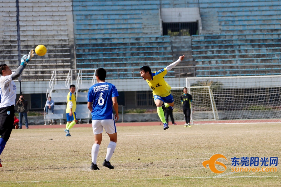 东莞市联赛2014名单,东莞足球联赛公开组名单