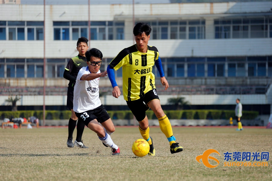 东莞市联赛2014名单,东莞足球联赛公开组名单