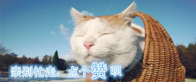 水果酵素蔬菜酵素,水果酵素蔬菜酵素中药酵素