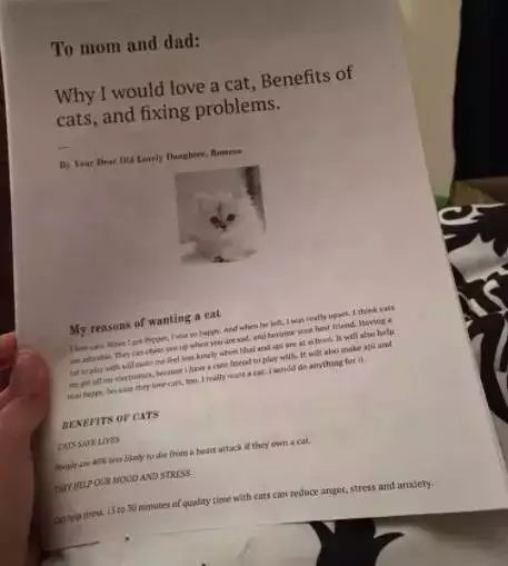 圣诞节心愿怎么写,圣诞节心愿清单素材