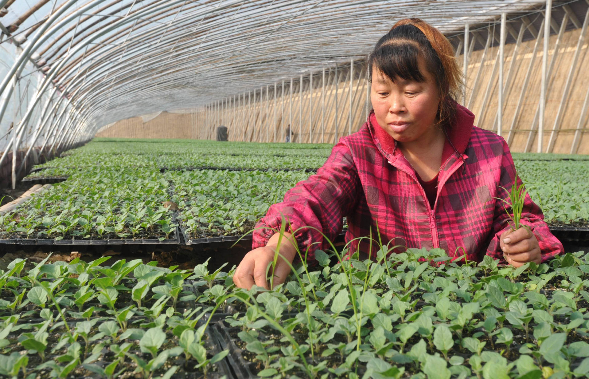 焦作大封今日新闻,焦作修武县今日新闻