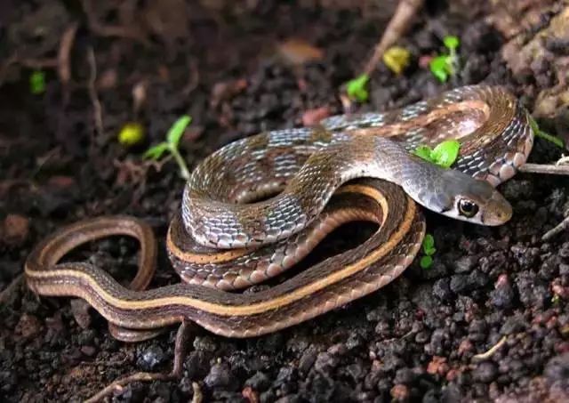 閭ｄ簺楠楄繃鎴戜滑鐨勫皬甯歌瘑,娆洪獥浣犲骞寸殑灏忕煡璇嗙粓浜庢壘鍏ㄤ簡