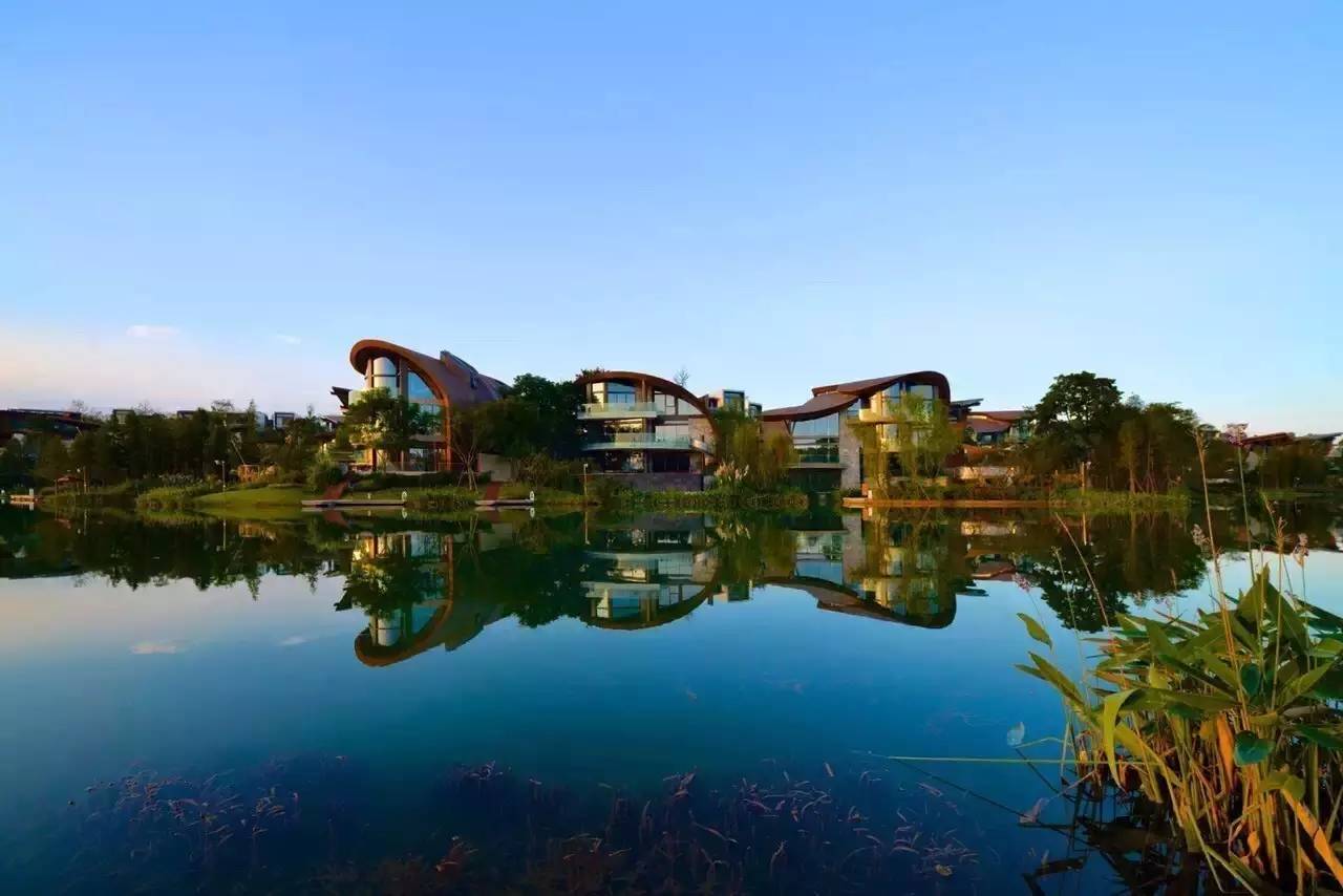 惊鸿一瞥的神盘「麓湖」将如何失败？︱刘德科