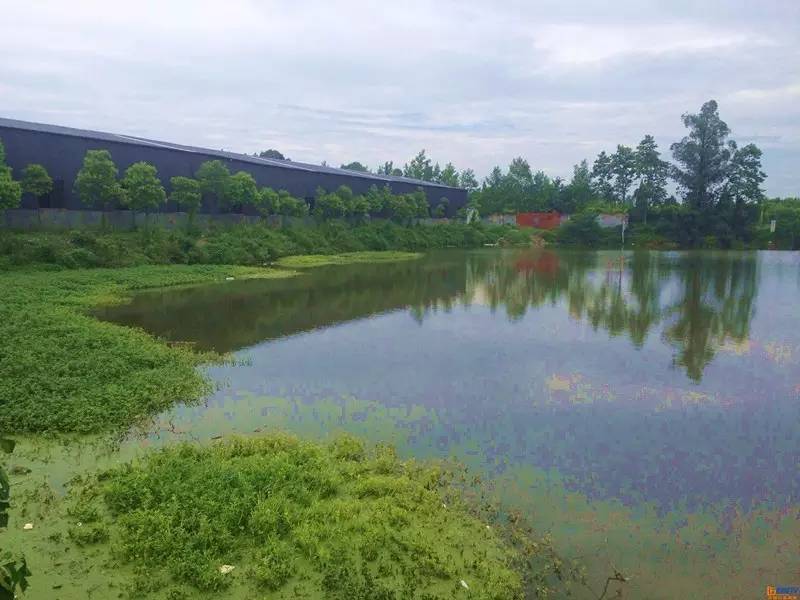 成都周边适合新手钓鱼的地方,成都2020十大免费钓鱼地方