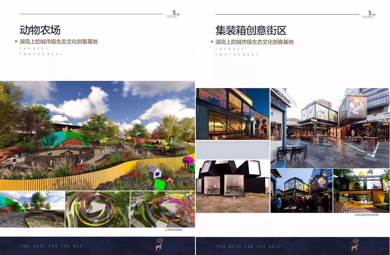 惊鸿一瞥的神盘「麓湖」将如何失败？︱刘德科