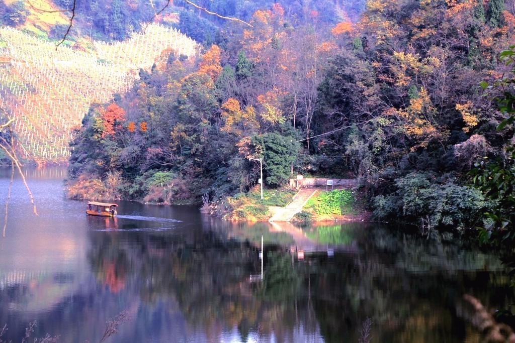 成都周边适合新手钓鱼的地方,成都2020十大免费钓鱼地方