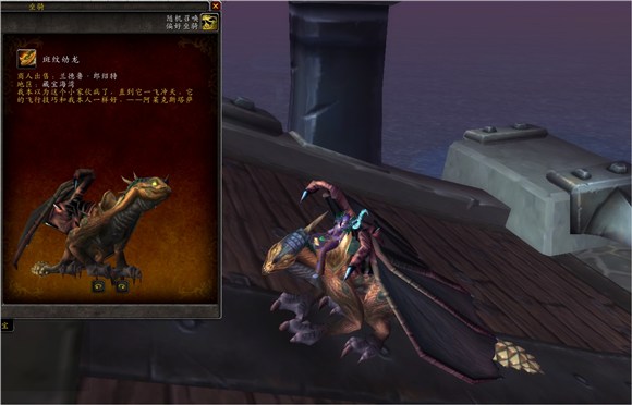 魔兽世界集换式卡牌坐骑,魔兽世界卡牌飞龙坐骑