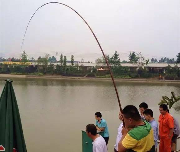 成都周边适合新手钓鱼的地方,成都2020十大免费钓鱼地方