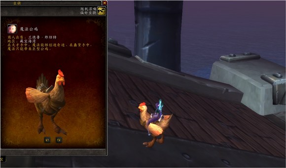 魔兽世界集换式卡牌坐骑,魔兽世界卡牌飞龙坐骑