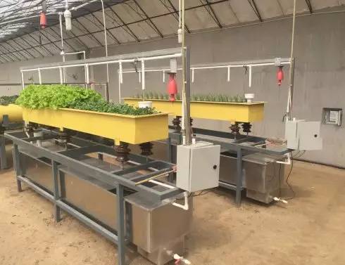 鱼菜共生的核心技术,鱼菜共生类似的农业技术