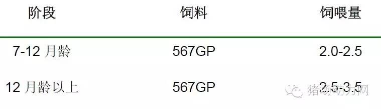 猪场分娩舍的管理要点,猪场分娩舍有哪些重点