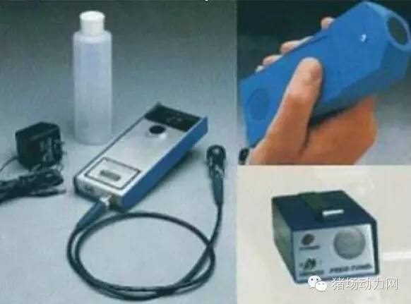 猪场分娩舍的管理要点,猪场分娩舍有哪些重点