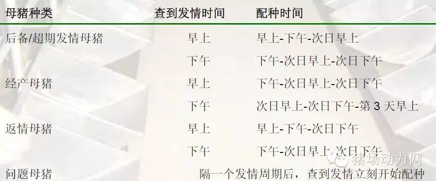 猪场分娩舍的管理要点,猪场分娩舍有哪些重点