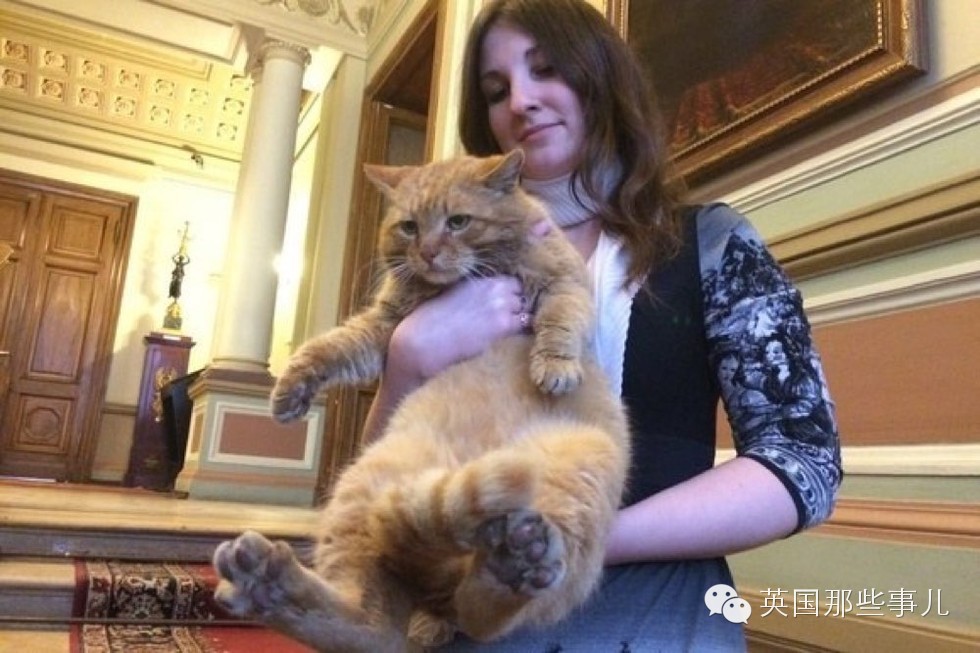 一个玩大了的愚人节玩笑...这博物馆真雇了只喵当他们正式员工...