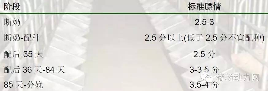猪场分娩舍的管理要点,猪场分娩舍有哪些重点