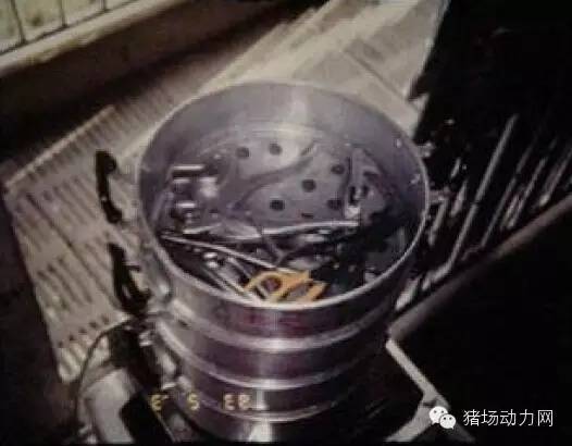 猪场分娩舍的管理要点,猪场分娩舍有哪些重点