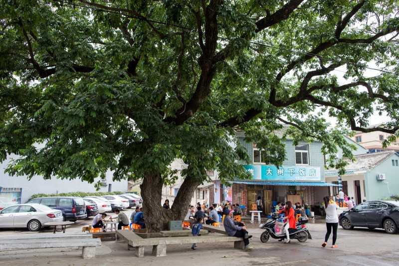 北仑自助农家乐,北仑春晓农家乐攻略