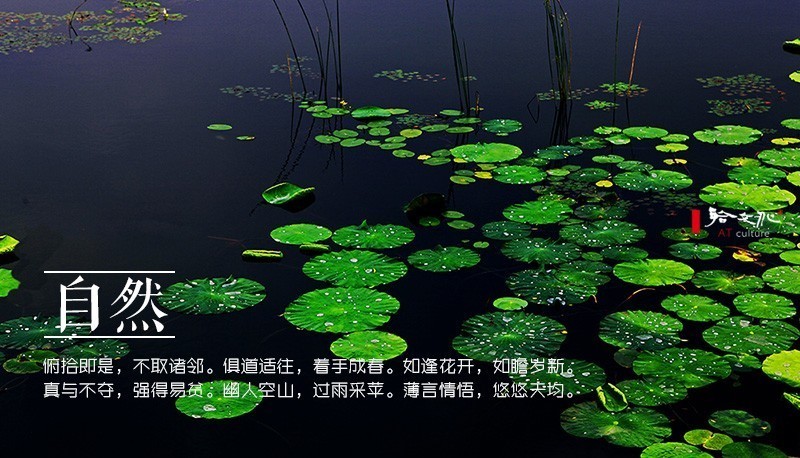 崇尚老庄的古人，写出了二十四种“道法自然”之美