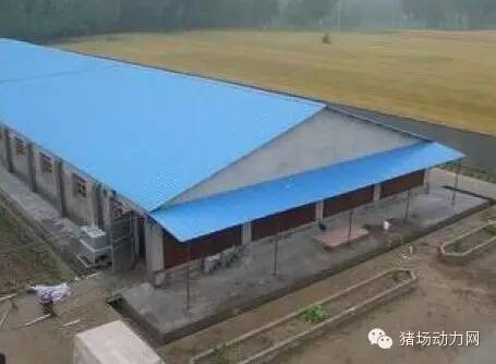 猪场分娩舍的管理要点,猪场分娩舍有哪些重点