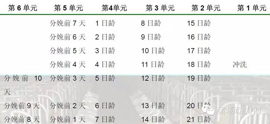 猪场分娩舍的管理要点,猪场分娩舍有哪些重点