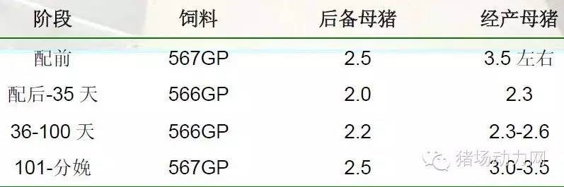 猪场分娩舍的管理要点,猪场分娩舍有哪些重点