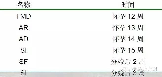 猪场分娩舍的管理要点,猪场分娩舍有哪些重点