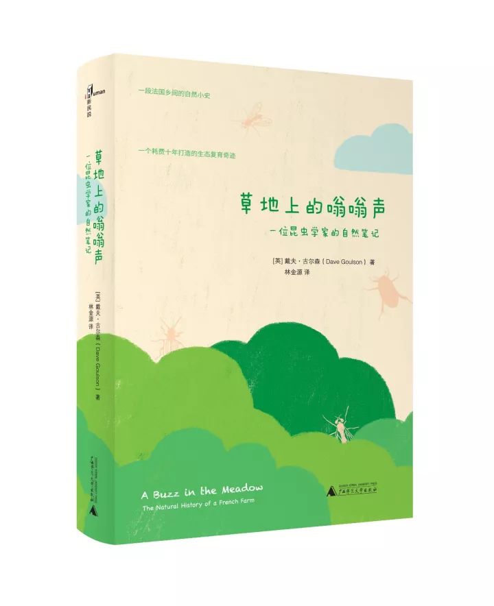 苍蝇到底有多让人讨厌,苍蝇能量有多强大