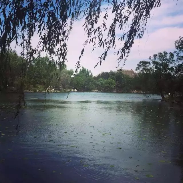 豆瓣日记:我们从未远去的北大岁月