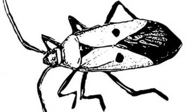 閭ｄ簺楠楄繃鎴戜滑鐨勫皬甯歌瘑,娆洪獥浣犲骞寸殑灏忕煡璇嗙粓浜庢壘鍏ㄤ簡