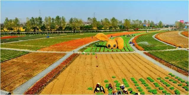 龙泉驿区幸福美丽乡村建设,龙泉驿阳光村乡村振兴项目