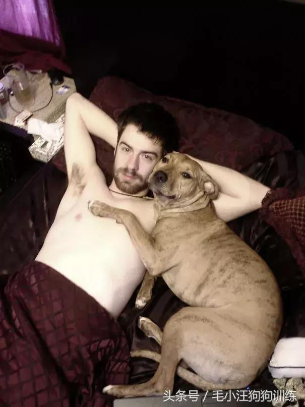 养了这么久的狗竟然又初恋了,养了多年的狗突然接近我