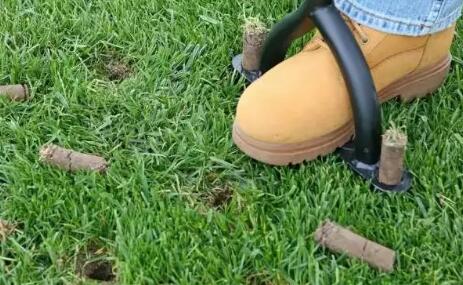 如何做好新植草坪的养护管理,新种植草坪的养护管理