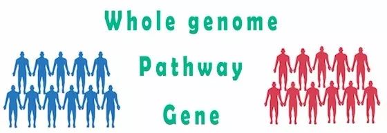 拒绝墨守成规的诗句,分析切忌以偏概全