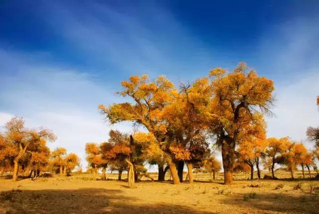 2018年想和一个人去旅行,等一个值得的人一起去旅行