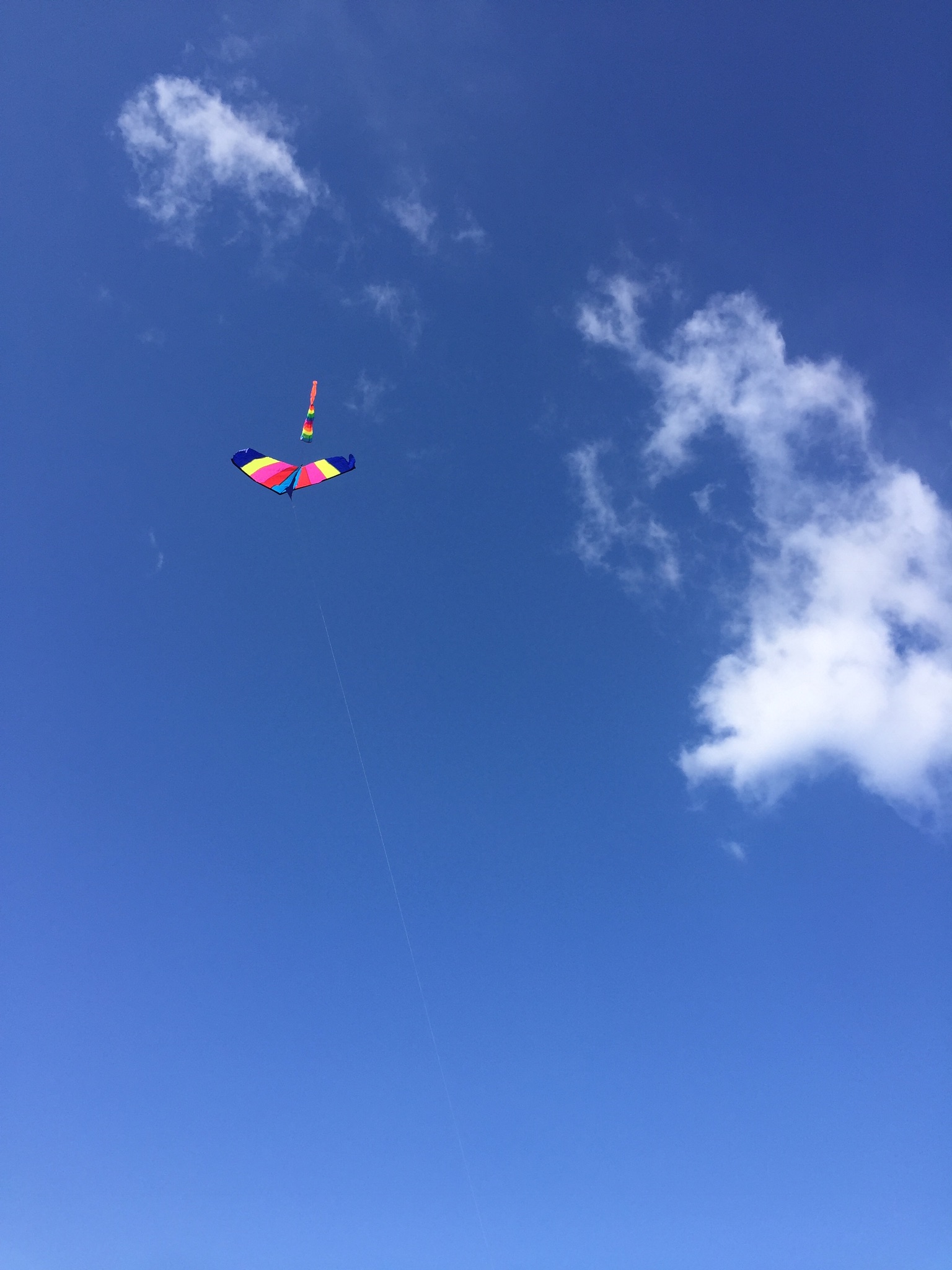 鲁迅先生的世故三味,世故三味鲁迅