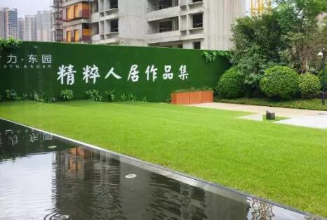 如何做好新植草坪的养护管理,新种植草坪的养护管理