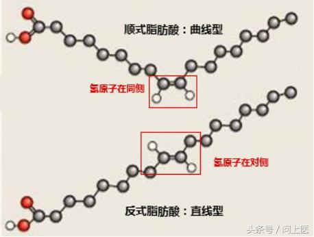 反式脂肪酸与不饱和脂肪酸的区别,反式脂肪酸和不饱和脂肪酸哪个好