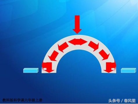 2022科学五年级下册质量检测卷,小学五年级下册科学复习重点